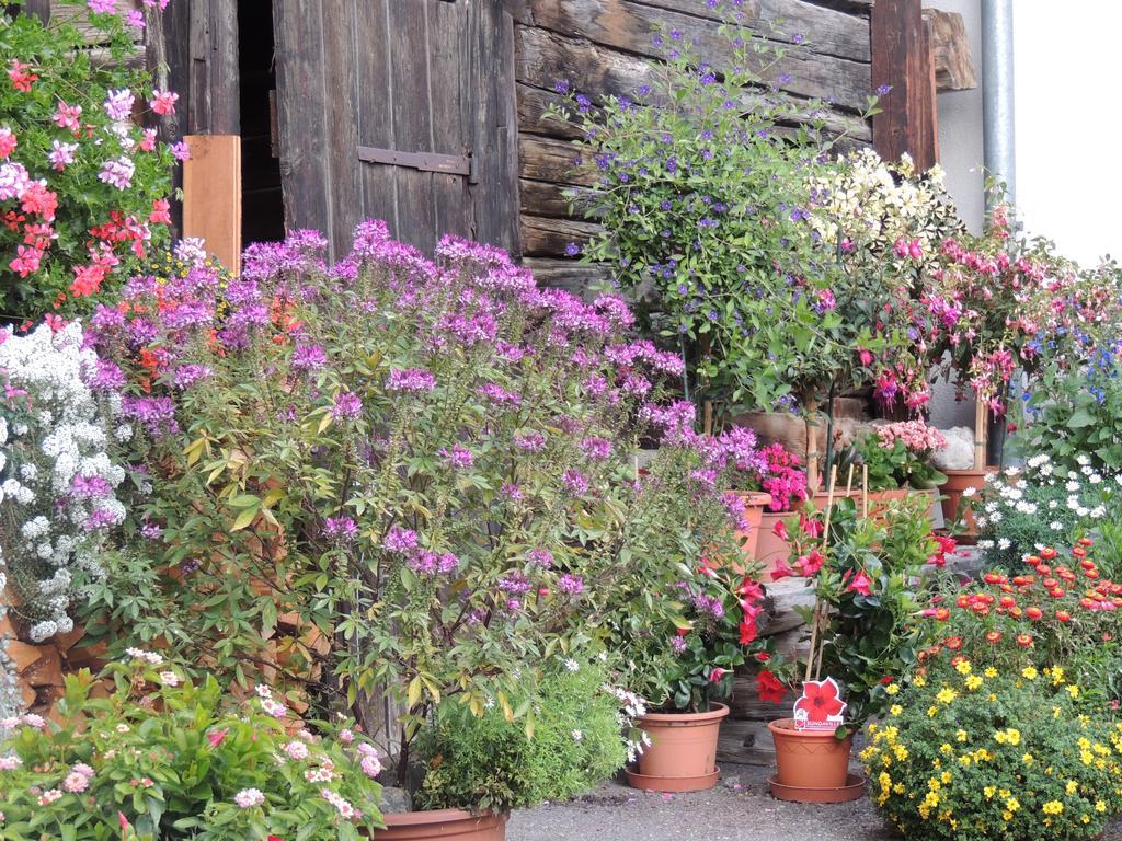 Haus Liaun 2 Διαμέρισμα Brienz  Εξωτερικό φωτογραφία